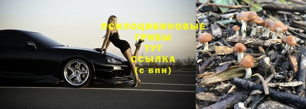 PSILOCYBIN Сатка