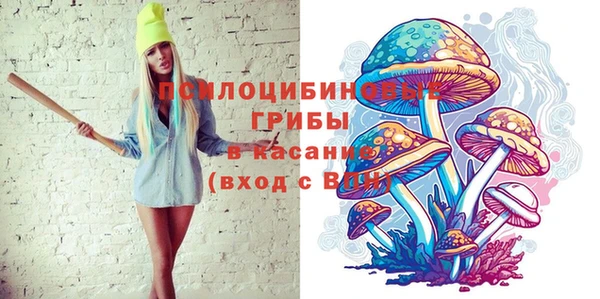 PSILOCYBIN Сафоново