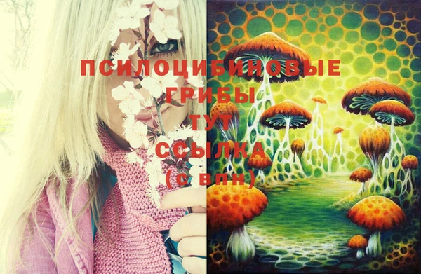 соль курить ск Абинск