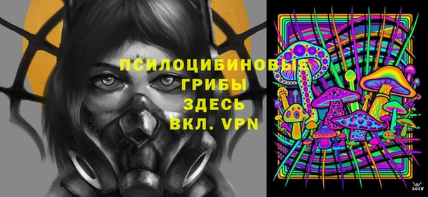 PSILOCYBIN Сатка